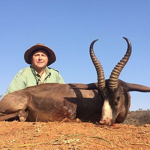 South Africa Black Springbok Hunting