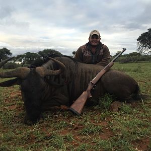 Blue Wildebeest Hunting in South Africa