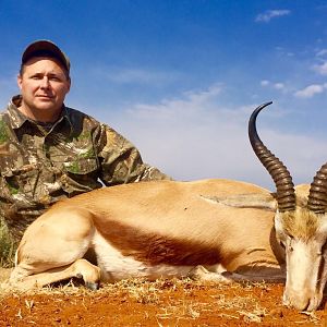 Springbok Hunt South Africa