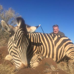 Zebra Hunt South Africa