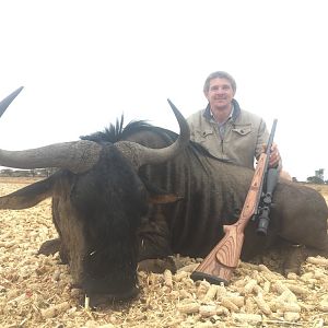 Blue Wildebeest Hunting in South Africa