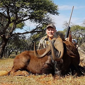 Hunting South Africa Black Wildebeest