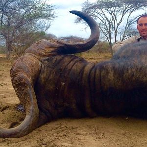 Hunting Buffalo in South Africa