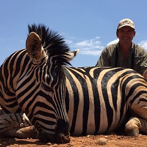 Zebra Hunt South Africa