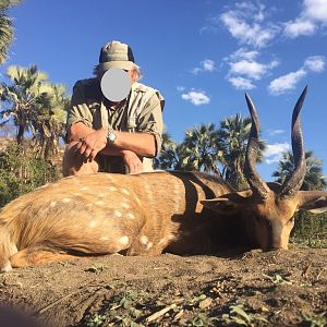 Zimbabwe Hunting Bushbuck