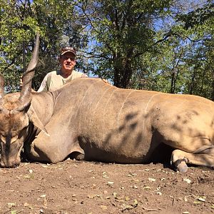 Hunting Eland Zimbabwe