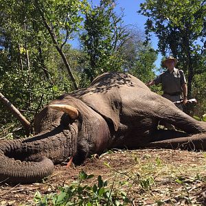 Elephant Hunting Zimbabwe