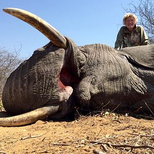 Elephant Hunting Zimbabwe