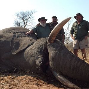 Elephant Hunting Zimbabwe