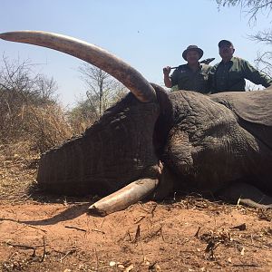 Elephant Hunting Zimbabwe