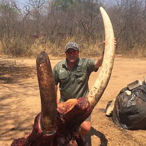 Elephant Hunting Zimbabwe