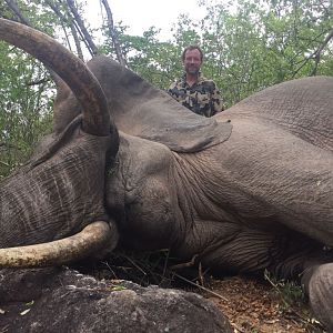 Elephant Hunting Zimbabwe