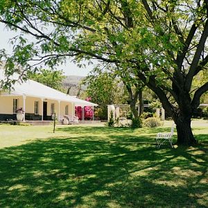 View from Garden