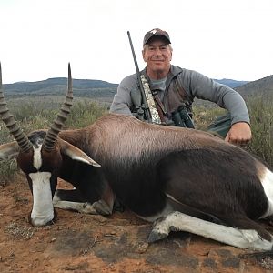 Bontebok