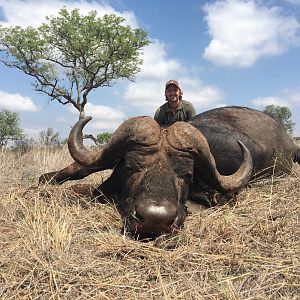 Buffalo Hunt Mozambique