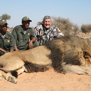 Lion with trackers