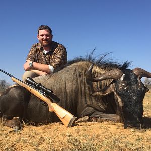 Blue Wildebeest Hunting