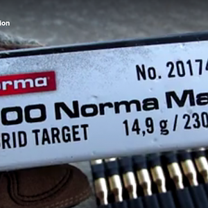 .300 Norma Mag