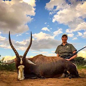 South Africa Blesbok Hunting