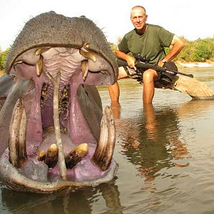 Hunt Hippo Zimbabwe