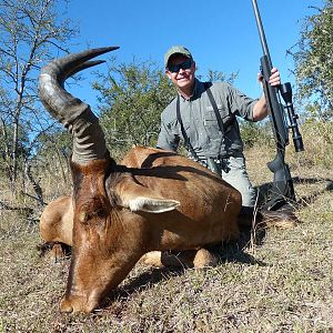 Red Hartebeest Hunting in South Africa