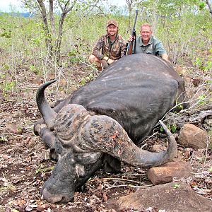 Buffalo Hunting Mozambique