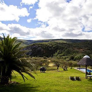 View From The Lodge