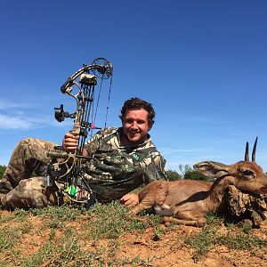 South Africa Steenbok Hunting