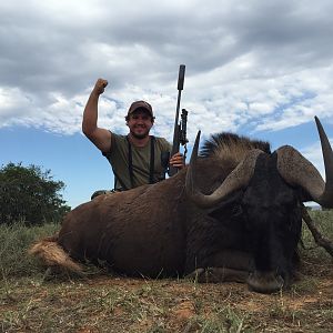 Hunting South Africa Black Wildebeest