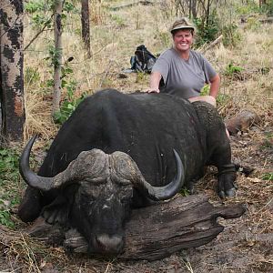 Buffalo Hunt Zimbabwe