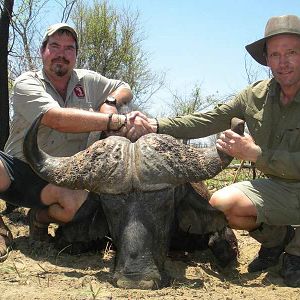 Buffalo Hunt Zimbabwe