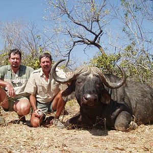 Buffalo Hunt Zimbabwe