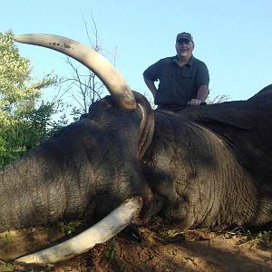 Hunt Zimbabwe Elephant