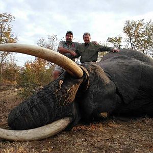 Hunt Zimbabwe Elephant