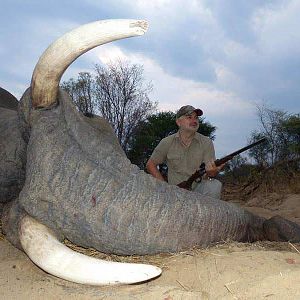 Hunt Zimbabwe Elephant