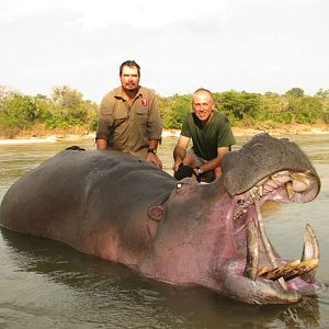 Zimbabwe Hunt Hippo