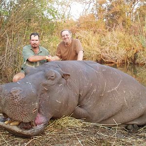 Zimbabwe Hunt Hippo