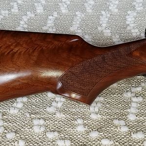 CZ 550 Safari Classic .500 Jeffery #1 Fancy Walnut