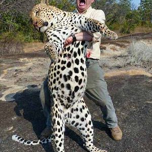 Leopard Hunt Zimbabwe