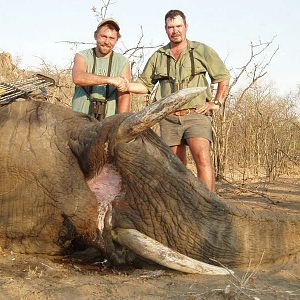 Zimbabwe Elephant Bowhunt