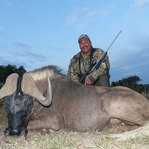 Hunting South Africa Black Wildebeest