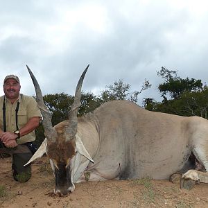 Hunting Eland South Africa