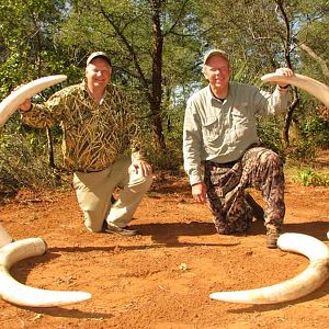 Elephant Hunting Zimbabwe