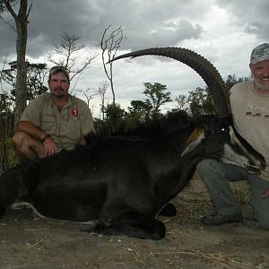 Zimbabwe Sable Hunt