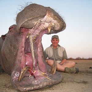 Huntress and a fine Hippo, the tusk on left curled all the way back into the jaw......