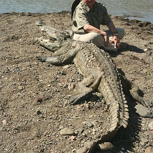 Lady Hunter and old skin and bone Crocodile!