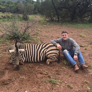 Zebra Hunt South Africa