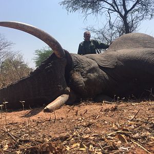 Zimbabwe Elephant Hunting