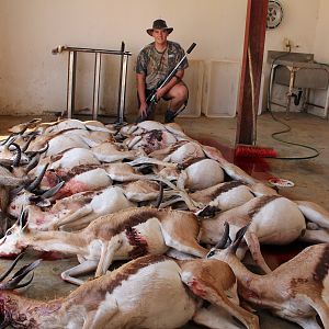 Springbok Cull Hunting with De Klerk Safaris