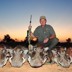 Warthog Cull Hunting with De Klerk Safaris